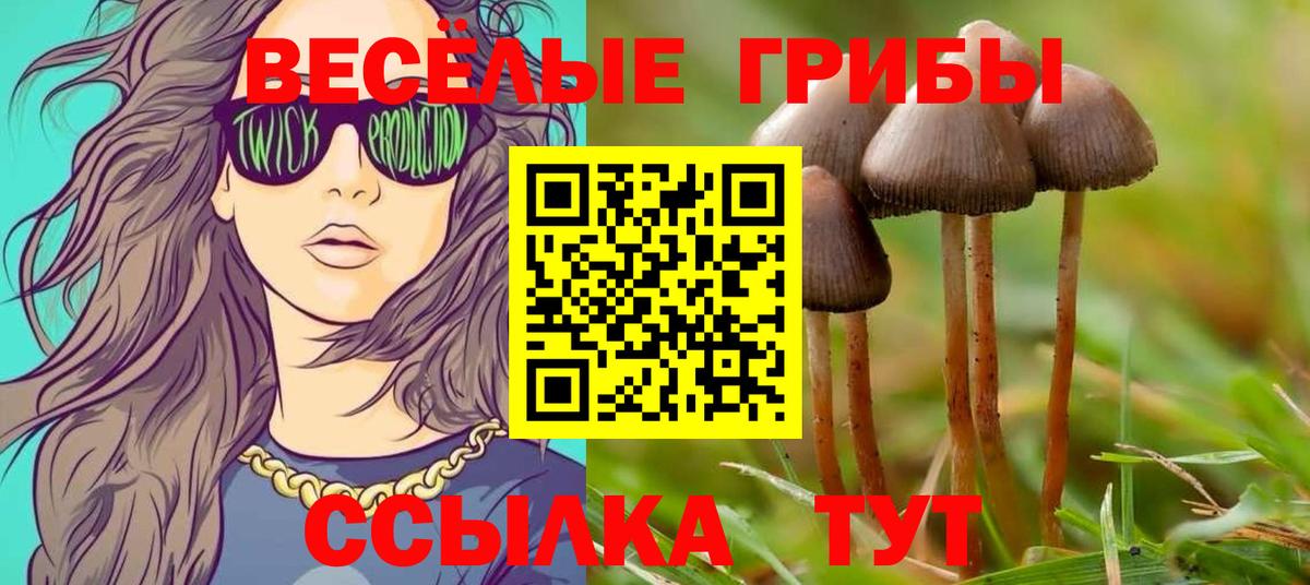 Семёнов  Псилоцибиновые грибы GOLDEN TEACHER  Вход с VPN 